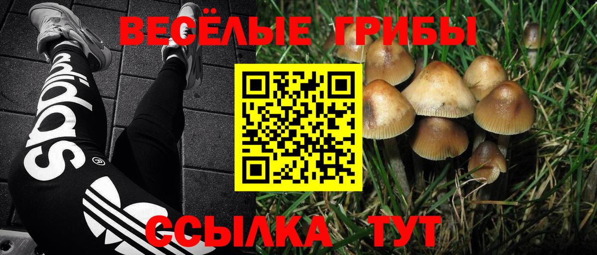 где можно купить   Псилоцибиновые грибы мухоморы  Вход с VPN  Ейск 